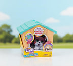 Little Live Pets My Puppy's Home Mini Playset, Orange