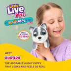 Little Live Pets My Really Real Puppy Mini Aurora The Husky