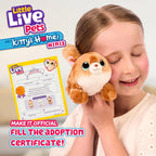 Little Live Pets My Kitty's Home Mini Playset, Mystery Kitty Plush Reveal