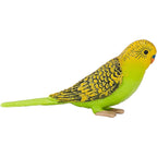 MOJO Green Budgerigar (Australian Parakeet) Realistic International