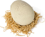 Jurassic World Interactive Toy Dinosaur & Egg