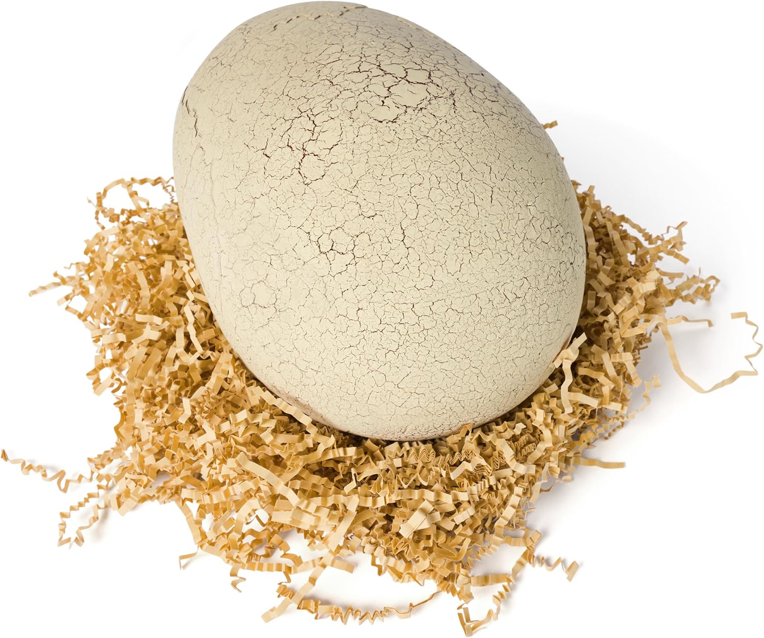 Jurassic World Interactive Toy Dinosaur & Egg