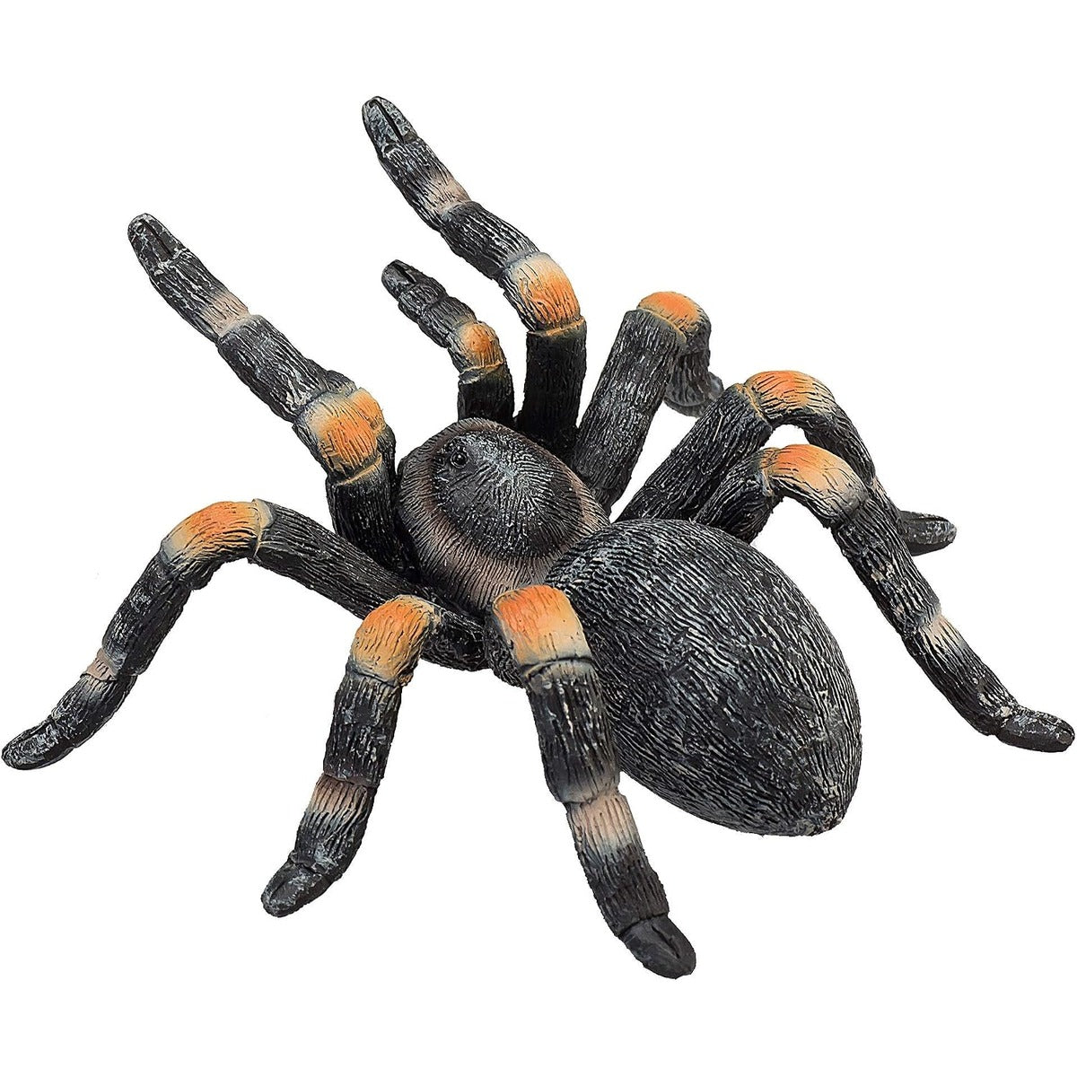 Mojo MOJO Red Kneed Tarantula Realistic International Wildlife Hand Painted Toy Figurine toy
