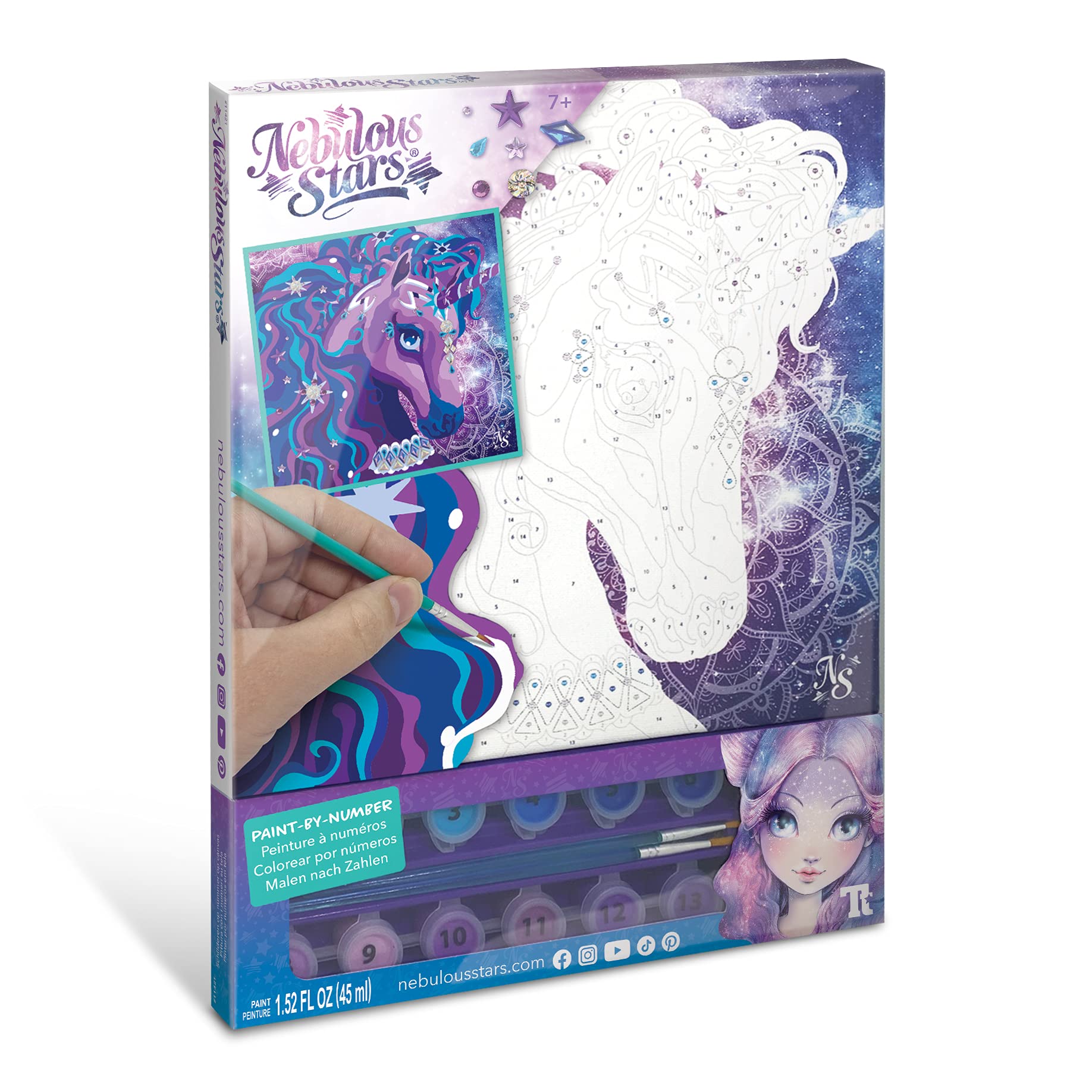 Nebulous Stars NS11421 Paint-by-Number on Canvas Nebulia & Horse