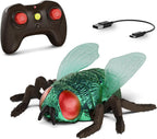 Terra RC Climbing Fly