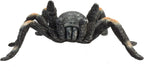 MOJO Red Kneed Tarantula Realistic International Wildlife Hand Painted Toy Figurine
