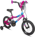 Spartan Chrome Sparkle Girls Bicycle with Training Wheels