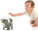 Pugs At Play Walking Zoe 6.5-Inch