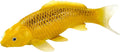 MOJO Farmland Koi Karper