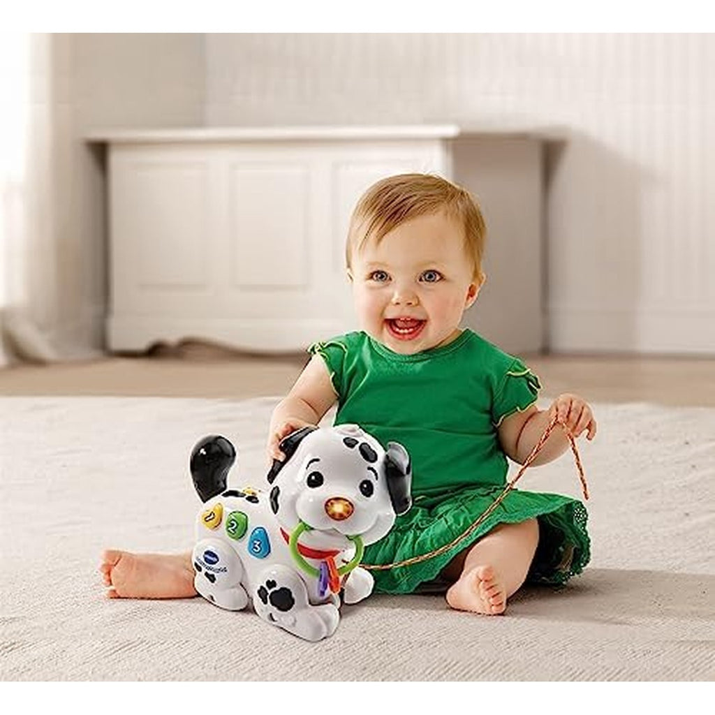 Vtech Pull Along Puppy Pal, Multi