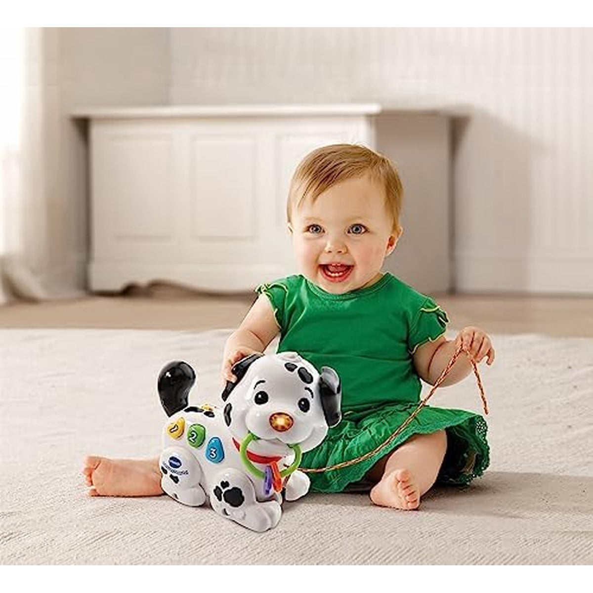 Vtech Pull Along Puppy Pal, Multi