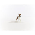 Schleich Farm World, Cute and Realistic Dog Toy Animals