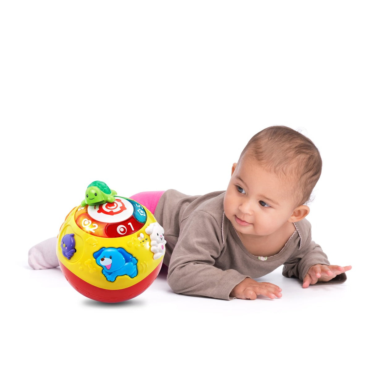 VTech Crawl & Learn Bright Lights Ball for 6 - 36 Months, English Version