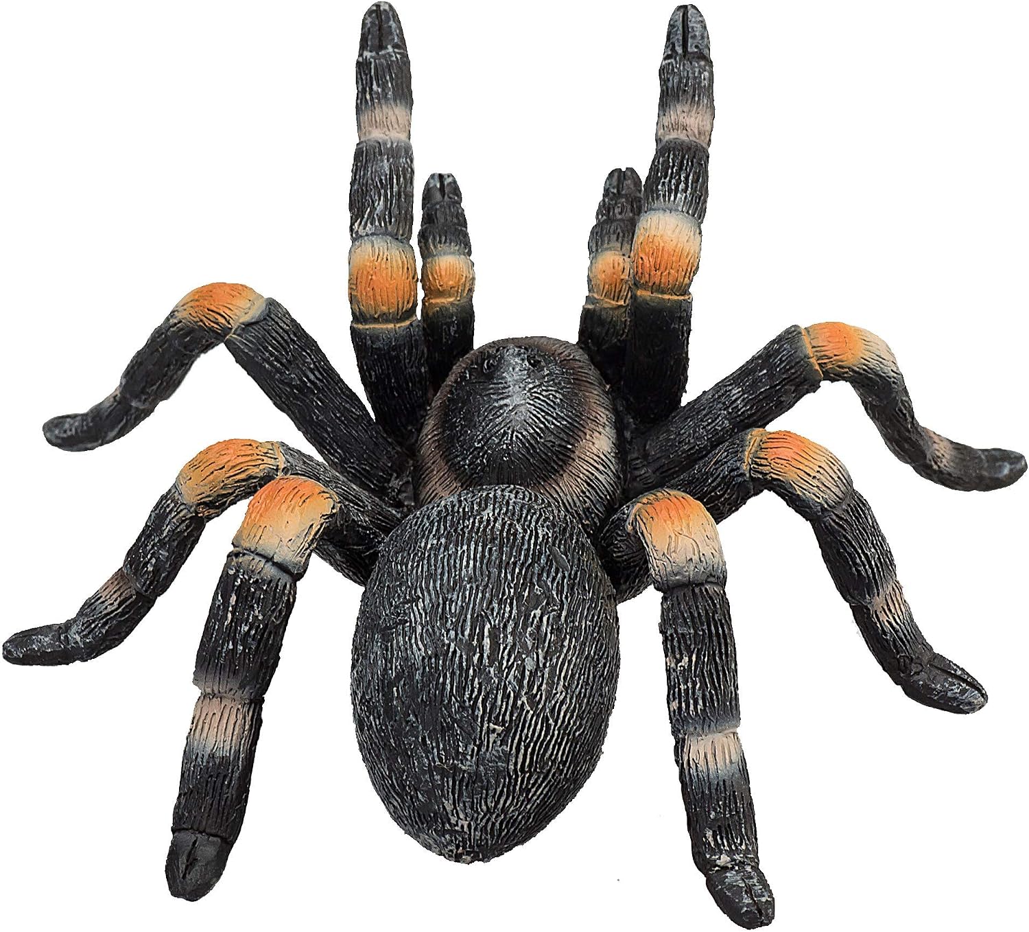 MOJO Red Kneed Tarantula Realistic International Wildlife Hand Painted Toy Figurine