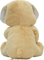 MiniMelody Peekaboo Nibbles the Bunny Interactive Plush Toy with Music & Talking