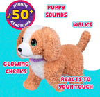 Little Live Pets Ouchies Exclusive Hazel The Poodle Plush, 50+ Sounds, Limping to Walking