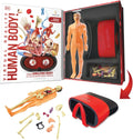 Abacus Brands Virtual Reality Human Body Gift Box- Illustrated Interactive VR Book and STEM Learning Activity Set - for Ages 