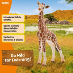 Schleich Wild Life Giraffe Calf Animal Figurine - Realistic and Highly Detailed Baby Giraffe Toy Figure, Fun and Educational Play for Boys and Girls, Gift for Kids Ages 3+