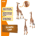 Schleich Wild Life Giraffe Calf Animal Figurine - Realistic and Highly Detailed Baby Giraffe Toy Figure, Fun and Educational Play for Boys and Girls, Gift for Kids Ages 3+