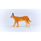 Schleich Wild Life Realistic Female Caracal Toy Figurine