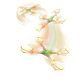 2.4G QUADCOPTER