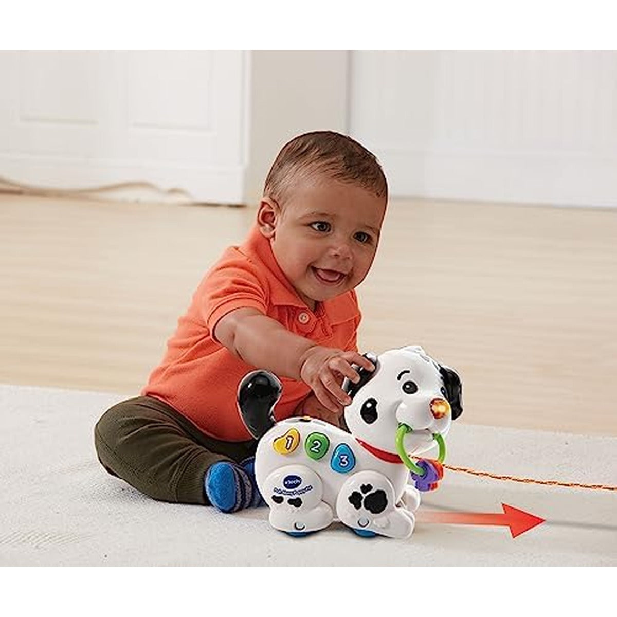 Vtech Pull Along Puppy Pal, Multi