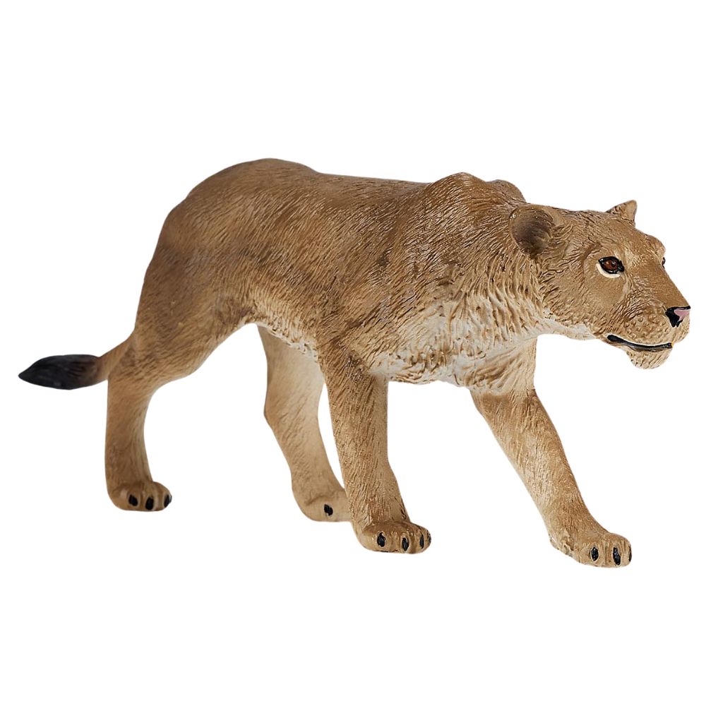 Mojo African Lioness 2024
