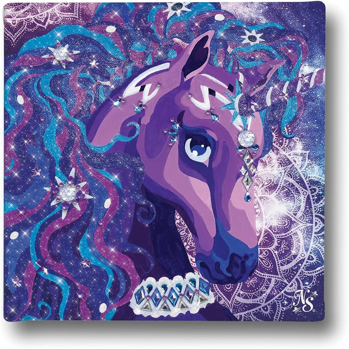 Nebulous Stars NS11421 Paint-by-Number on Canvas Nebulia & Horse