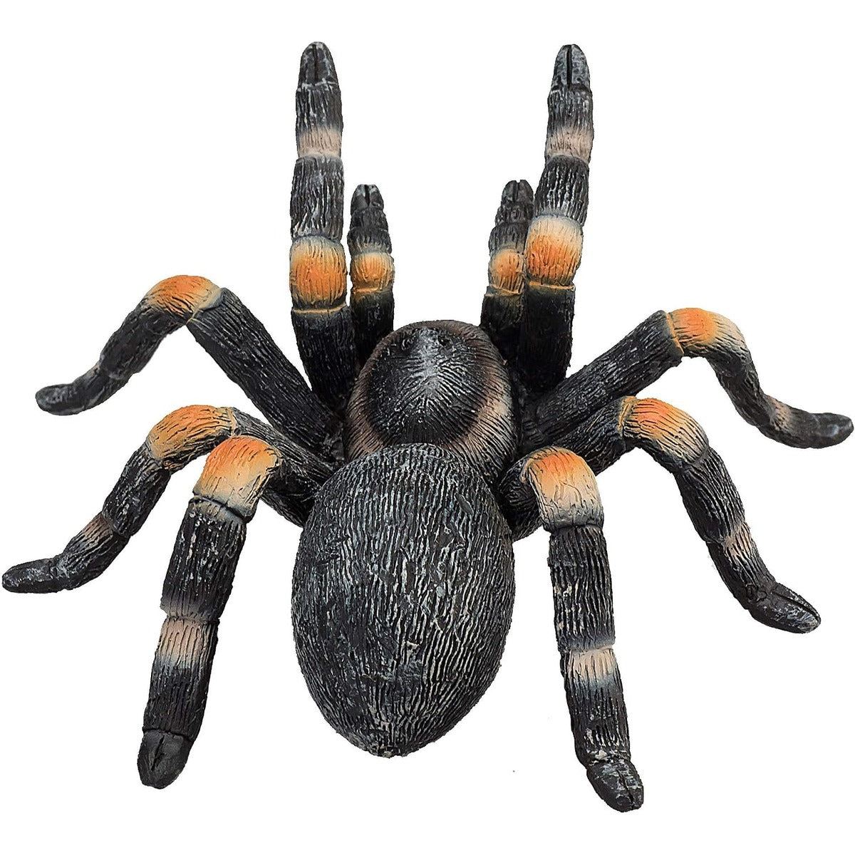 MOJO Red Kneed Tarantula Realistic International Wildlife Hand Painted Toy Figurine
