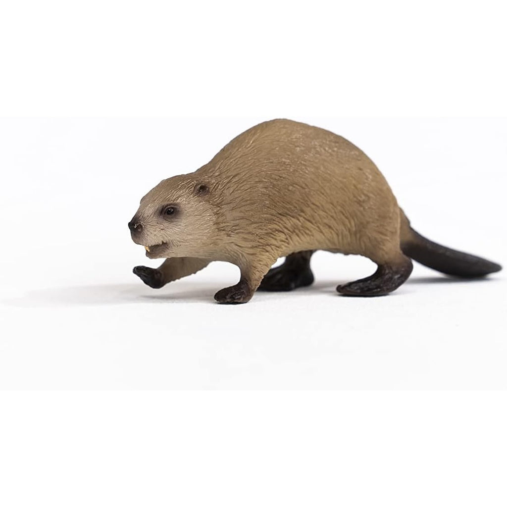 Schleich Wild Life, North American Woodland Wild Animal Toys