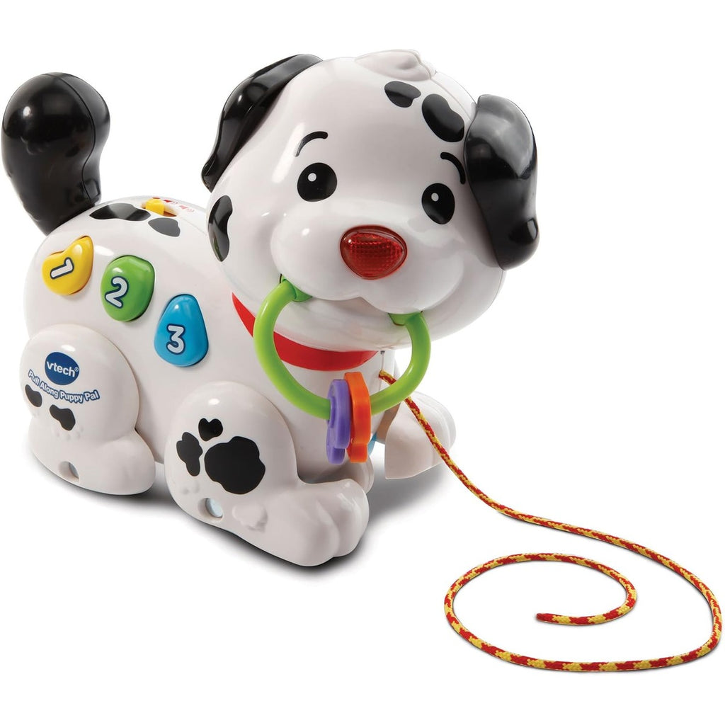 Vtech Pull Along Puppy Pal, Multi