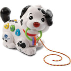Vtech Pull Along Puppy Pal, Multi