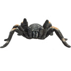 MOJO Red Kneed Tarantula Realistic International Wildlife Hand Painted Toy Figurine