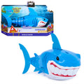 SW Rainbow Reef Shark Finn Diesel